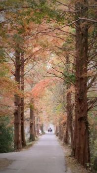 2023年公司金秋鄉(xiāng)村團(tuán)建活動(dòng)